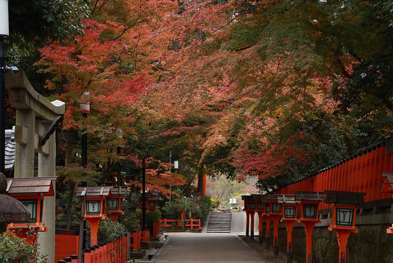 【京都】八坂神社：總本社地位非凡！祇園祭舉辦地＆結緣變美聖地