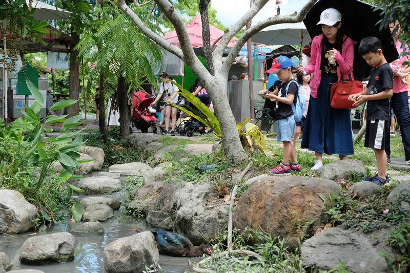 【宜蘭】宜農牧場：門票漲到150元！餵小動物、擠羊奶，親子一