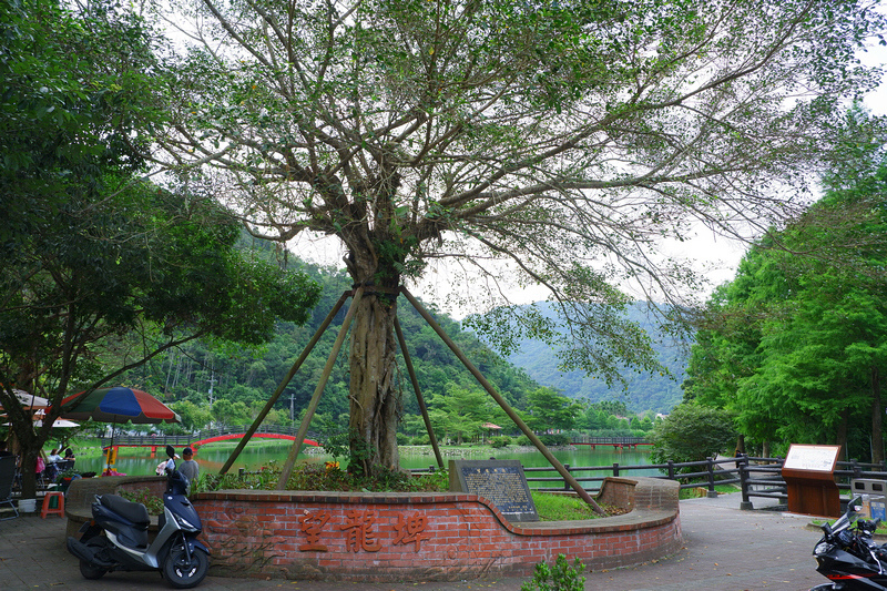 【宜蘭員山】望龍埤花田村：經典偶像劇場景！美食門票＆附近景點