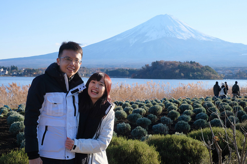 【河口湖】大石公園：巨無霸富士山視野美翻天！薰衣草、波波草花