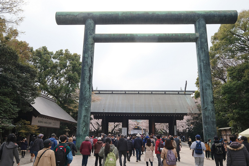 【東京】靖國神社：櫻花標準木在此！賞櫻花況指南樹，參拜爭議之