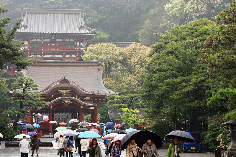 【鎌倉】鶴岡八幡宮：鎌倉最古老神社，