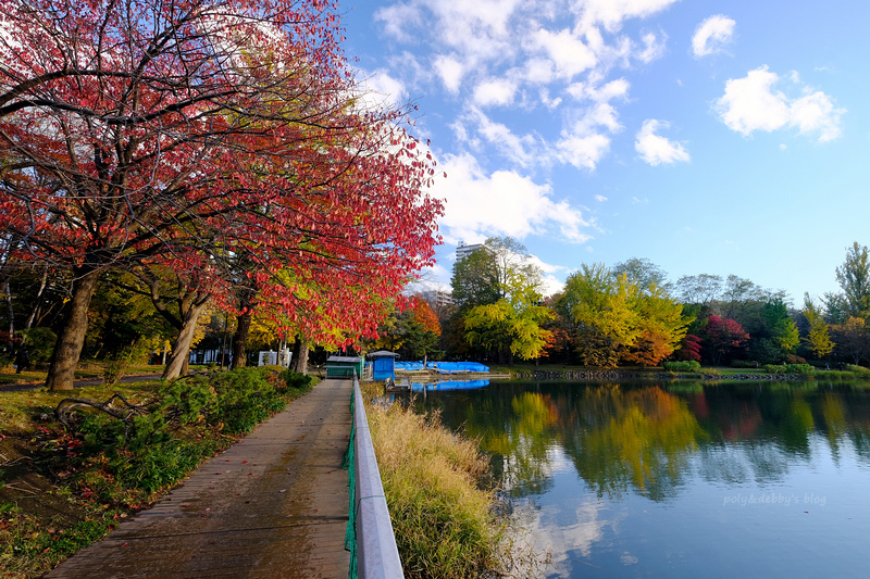 【札幌】中島公園：秋天楓葉、冬天滑雪都好玩！好評Vessel