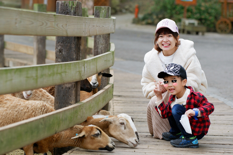 【苗栗通霄】飛牛牧場：擠奶餵羊趣！門票優惠、住宿餐廳親子一日