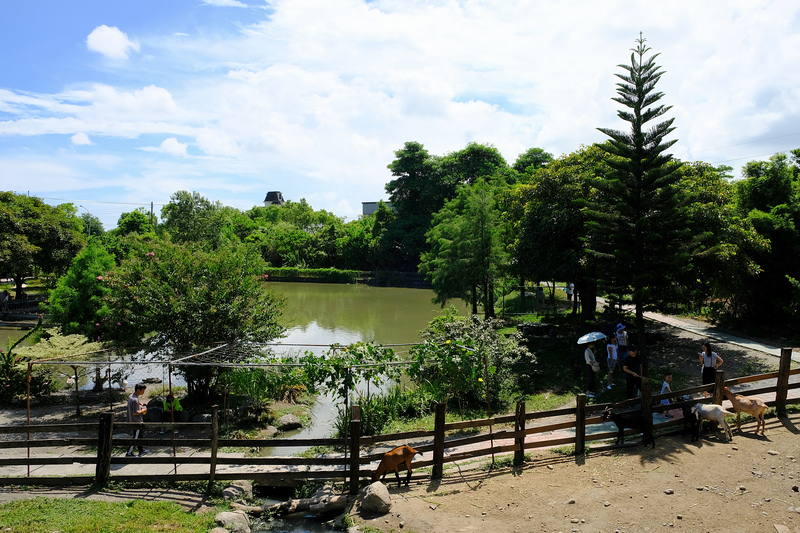 【宜蘭】宜農牧場：門票漲到150元！餵小動物、擠羊奶，親子一