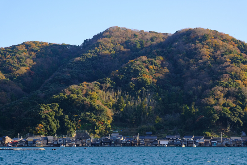 【京都】伊根舟屋：日本威尼斯美譽！搭船餵海鷗、交通＆附近景點