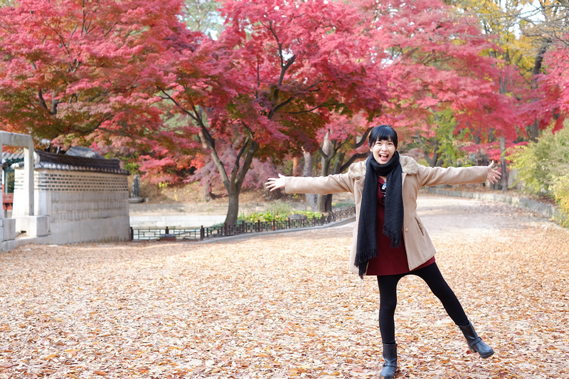 【韓國首爾】昌德宮秘苑預約＆門票韓服，紅葉漫天皇族後花園爆炸