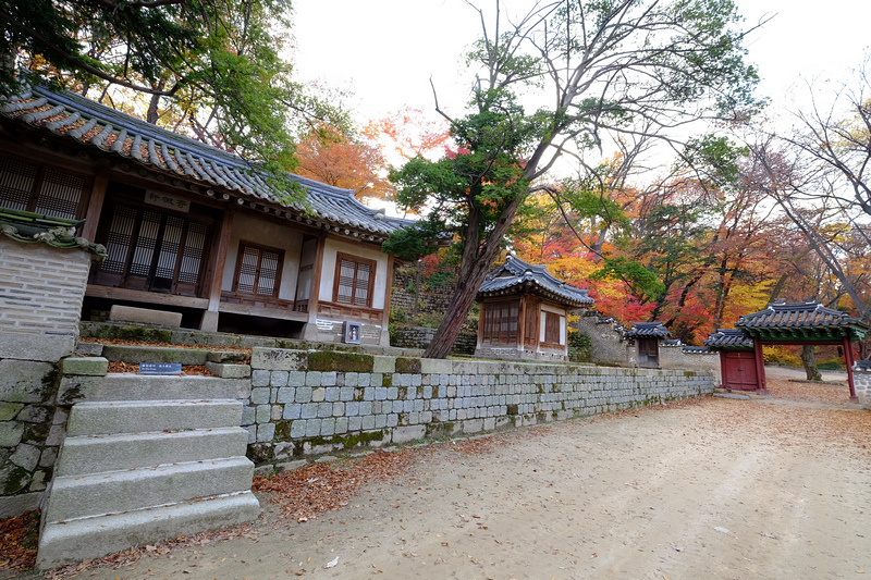 【韓國首爾】昌德宮秘苑預約＆門票韓服，紅葉漫天皇族後花園爆炸