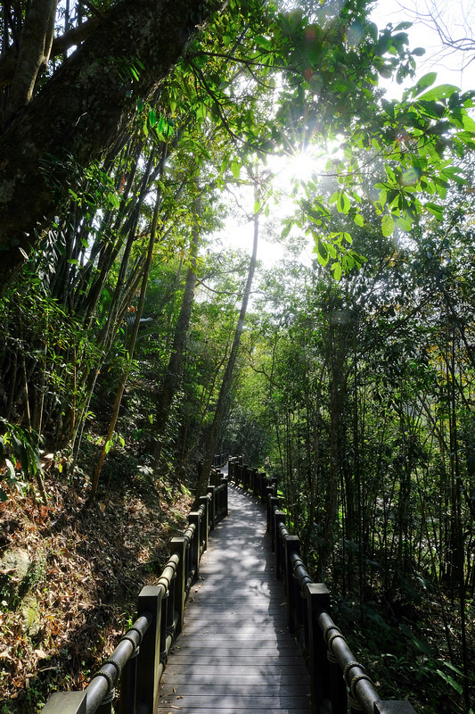 【苗栗南庄】蓬萊溪護魚步道：溪水清澈魚超多，免門票好停車平穩