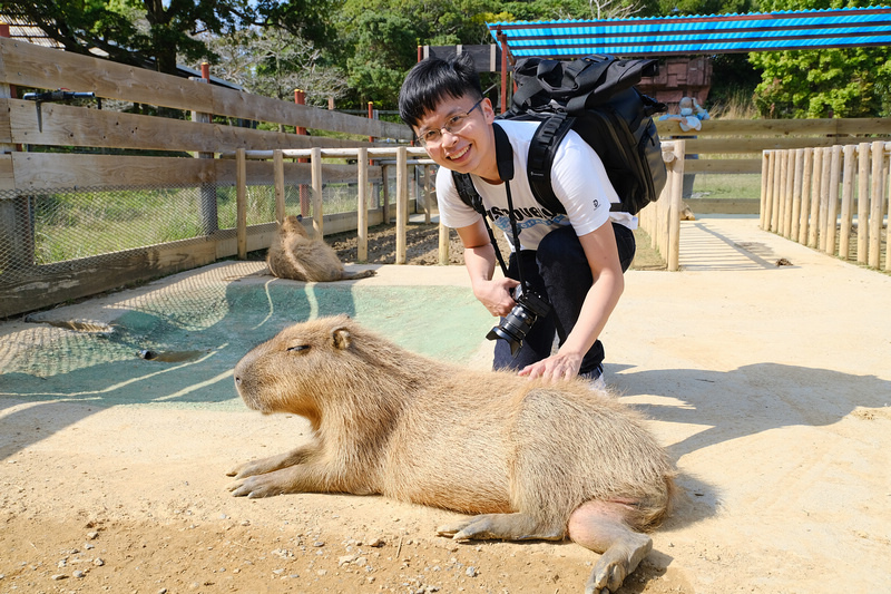 【沖繩】名護自然動植物公園：零距離接觸動物！鐵道火車和飛禽表