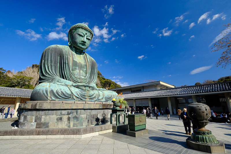 【鎌倉】鎌倉大佛殿高德院：日本第二高青銅佛像！在地神聖象徵景