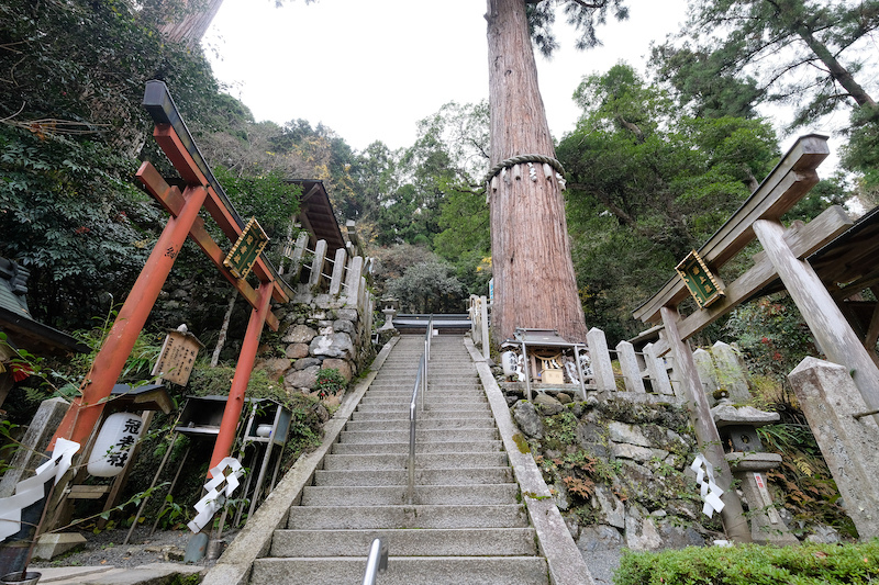 【京都楓葉景點】鞍馬寺：經典天狗必拍！門票、交通搭纜車上山最