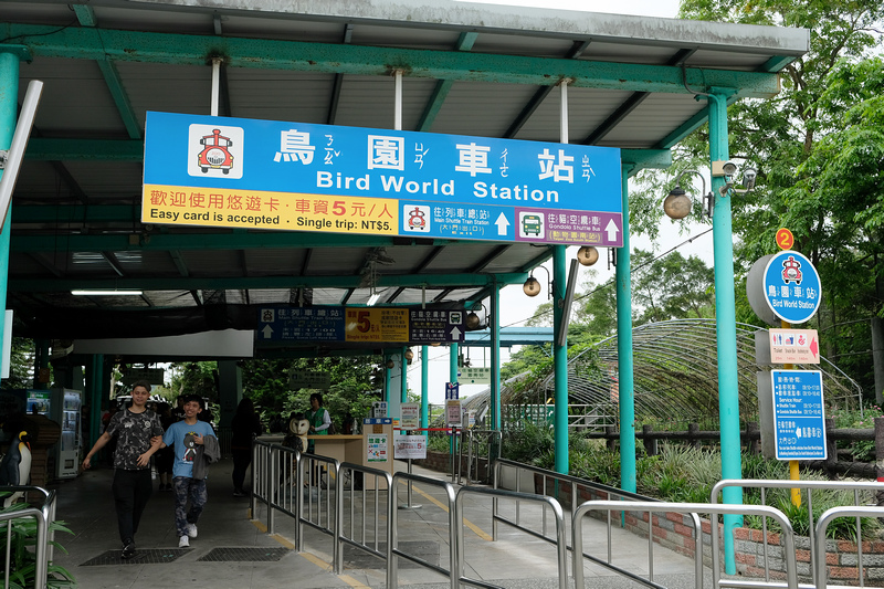 【台北市立動物園】木柵動物園：超萌企鵝熊貓無尾熊！門票停車＆