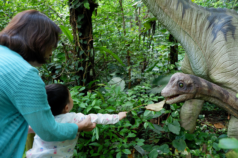 【沖繩名護】DINO恐龍公園：侏儸紀再現！80種恐龍親密接觸