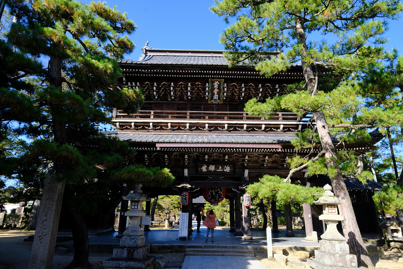 【天橋立一日遊行程】2024京都天橋立景點推薦！傘松公園、纜