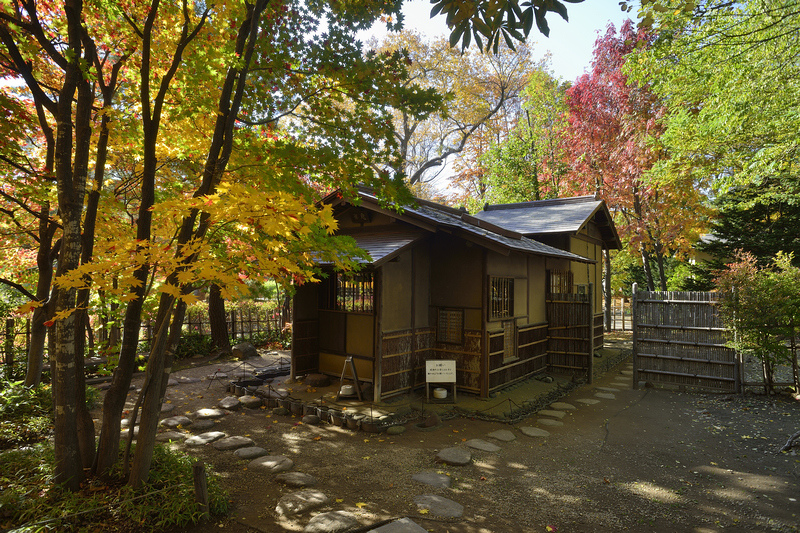 【札幌】中島公園：秋天楓葉、冬天滑雪都好玩！好評Vessel