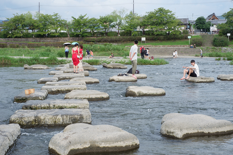 【京都】鴨川：納涼床＆跳烏龜好有趣！景點櫻花、美食交通＆一日