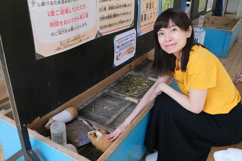 【沖繩】名護自然動植物公園：零距離接觸動物！鐵道火車和飛禽表