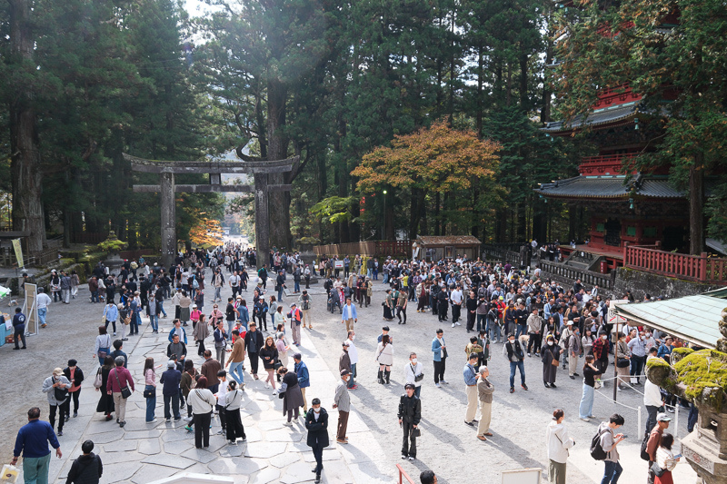 【日光一日遊】