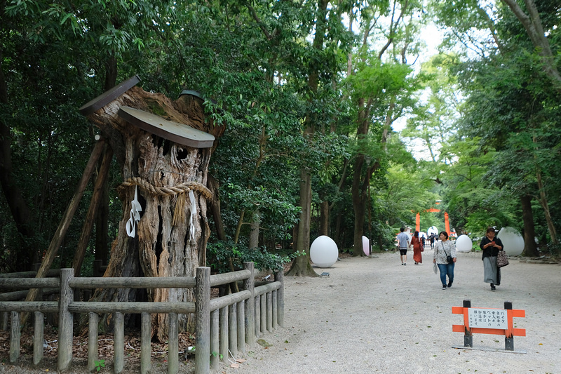 【京都】下鴨神社：最古老神社之一！蕾絲御守超酷，求姻緣變美必