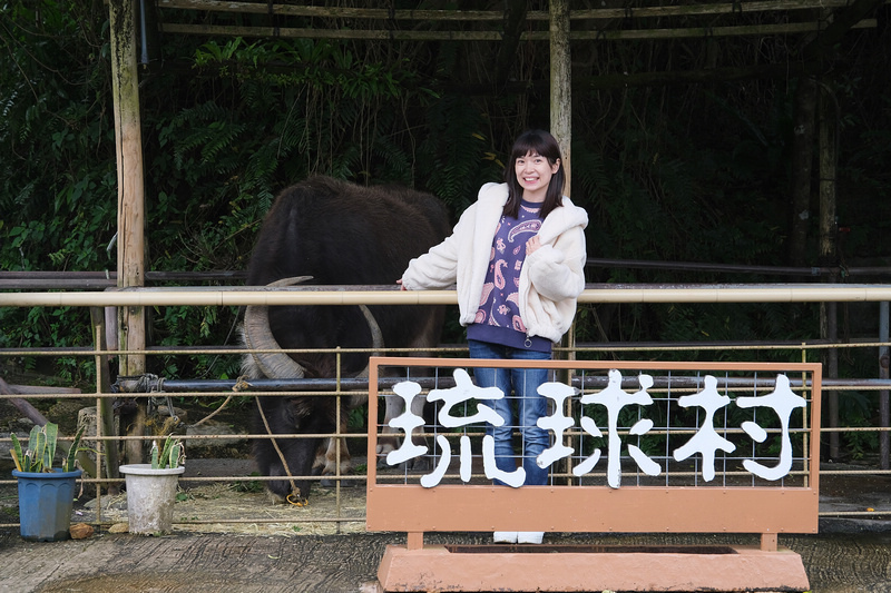 【沖繩】琉球村：重現古老沖繩！琉球王國主題公園人氣表演秀＆探