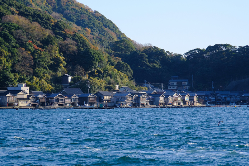 【京都】伊根舟屋：日本威尼斯美譽！搭船餵海鷗、交通＆附近景點