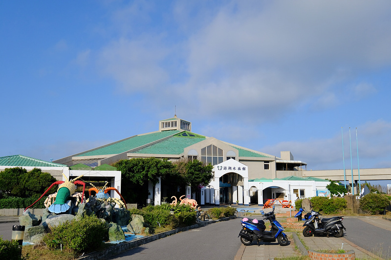 【澎湖】澎湖水族館：餵食秀超精彩！門票優惠＆海星觸摸池親子必