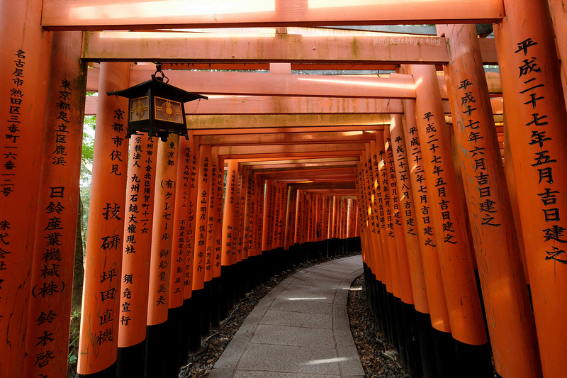 【京都】金閣寺：金碧輝煌一休和尚場景！必看重點、御守＆門票交