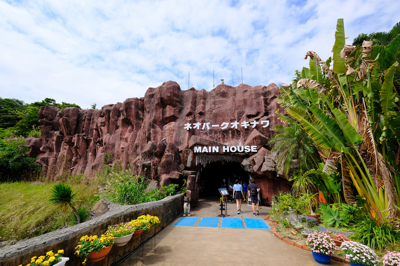 【沖繩】名護自然動植物公園：零距離接觸動物！鐵道火車和飛禽表