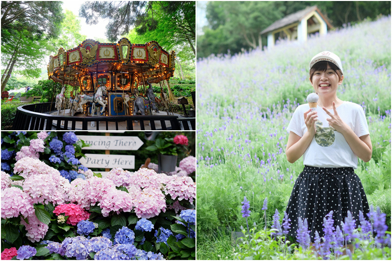 【新社】台中薰衣草森林：浪漫紫色花園，繡球花也很美！門票菜單季節彙整