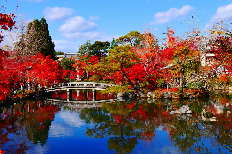 【京都楓葉景點】2024必去京都賞楓景點、紅葉時間情報＆行程