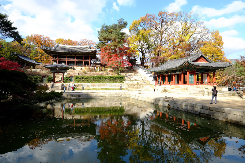 【韓國首爾】昌德宮秘苑預約＆門票韓服，紅葉漫天皇族後花園爆炸