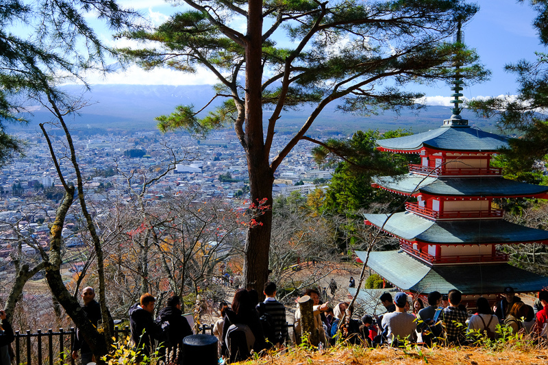 【河口湖】新倉富士淺間神社：絕美富士山景色！忠靈塔、鳥居櫻花