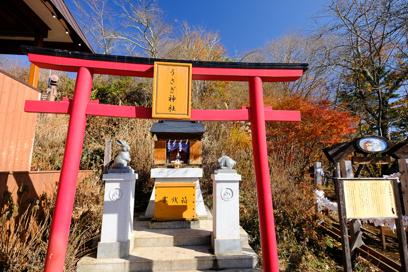 【天上山公園】必搭河口湖纜車！制高點眺望富士山全景＆超酷景觀