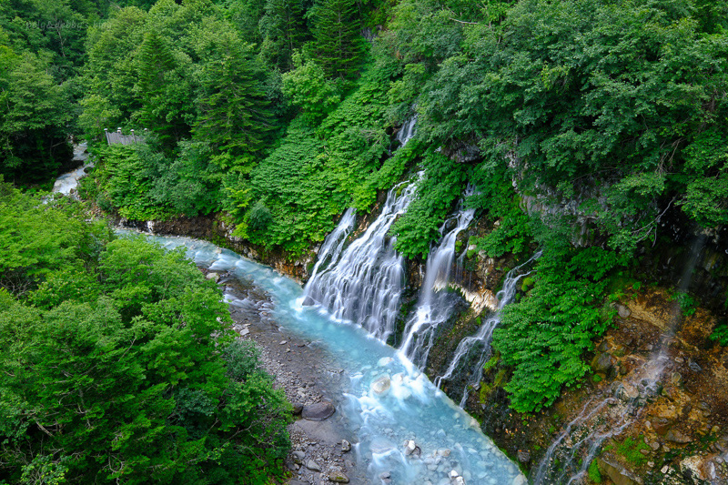 【北海道】白鬚瀑布：少數潛流瀑布！夜間點燈好夢幻，白金青池源