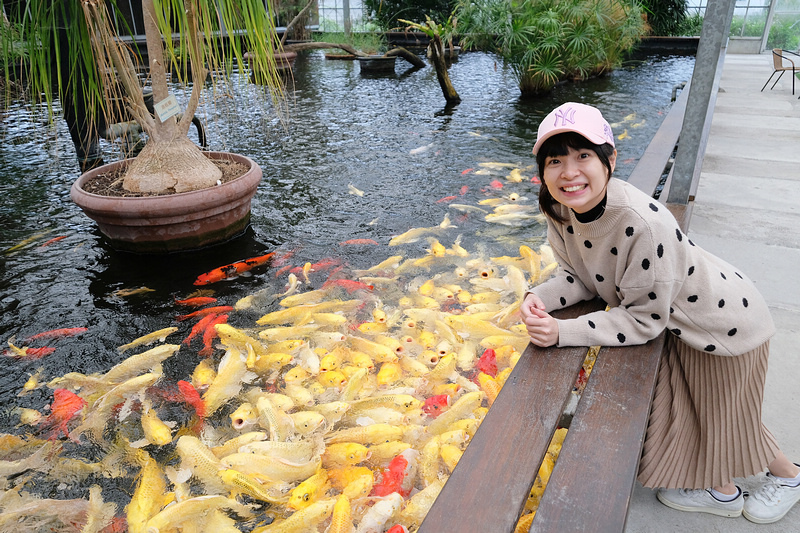 【宜蘭】金車礁溪蘭花園：不只能賞花！和水豚、狐獴、貓咪親密接