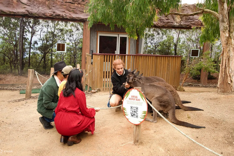 野生動物園