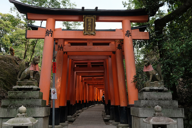 【京都】伏見稻荷大社：千本鳥居必看！狐狸御守、門票交通＆附近