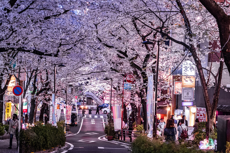 【東京】忠犬八公像＆澀谷十字路口：感人的故事，必拍知名打卡景