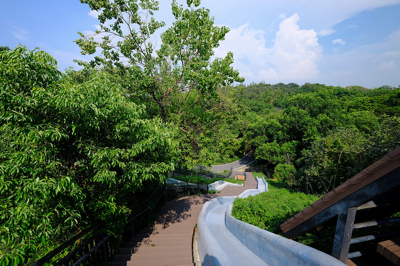 【新竹】青青草原：54公尺長溜滑梯、五大草原、健行步道，免門