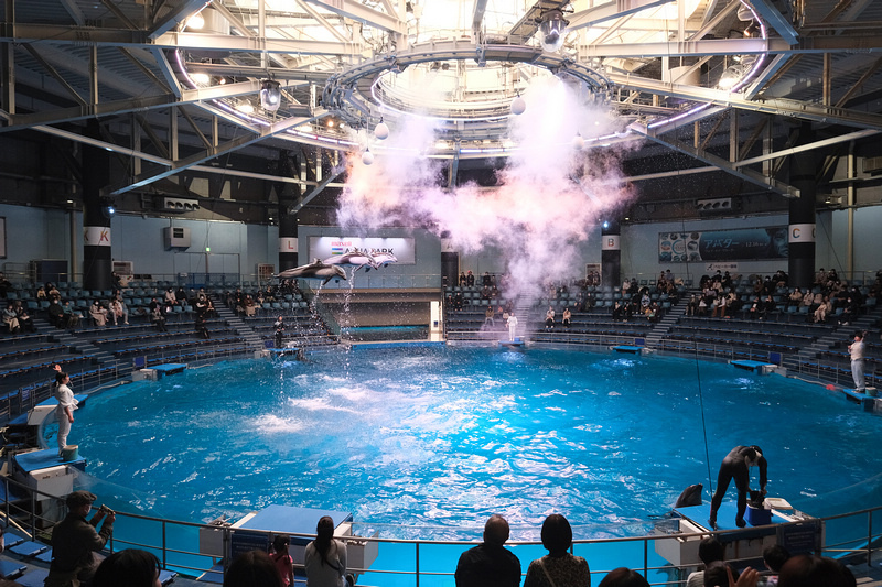 【東京】品川水族館Maxell Aqua Park：海豚秀超