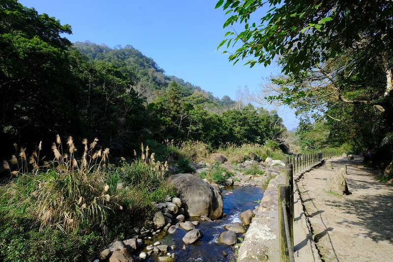 【苗栗南庄】蓬萊溪護魚步道：溪水清澈魚超多，免門票好停車平穩