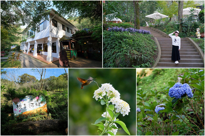 【台中新社】桃李河畔景觀餐廳：夢幻花園玻璃屋！菜單門票附近景點介紹