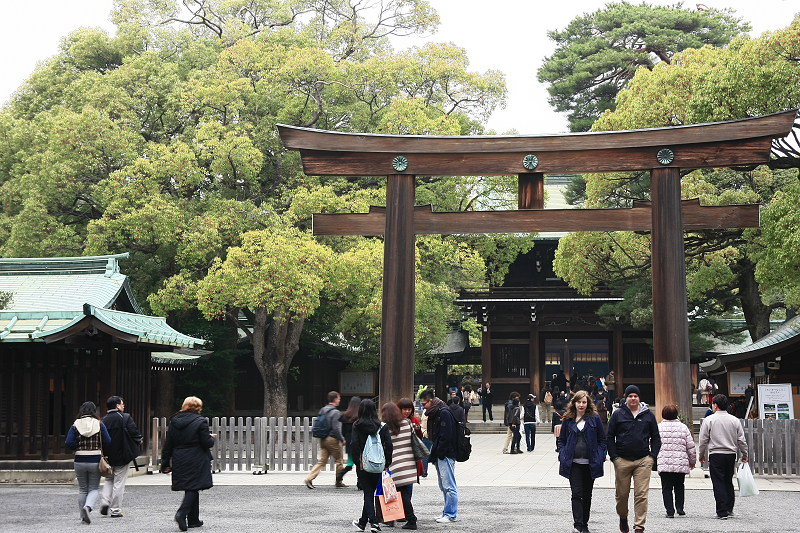 【東京】明治神宮：鳥居御守景點地圖、交通美食＆附近景點一日遊