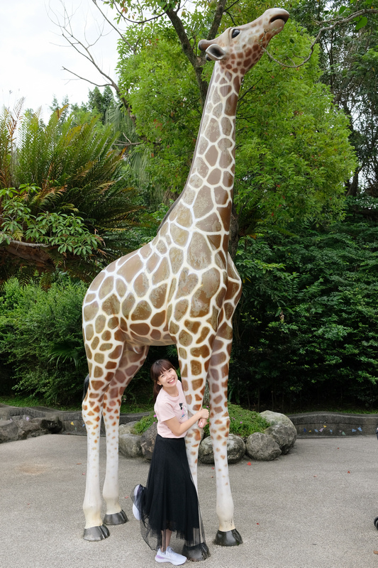 【台北市立動物園】木柵動物園：超萌企鵝熊貓無尾熊！門票停車＆