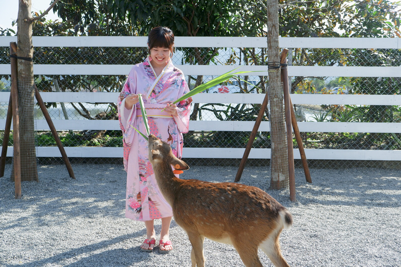 【宜蘭】張美阿嬤農場：餵水豚君、梅花鹿，還能穿和服！預約門票