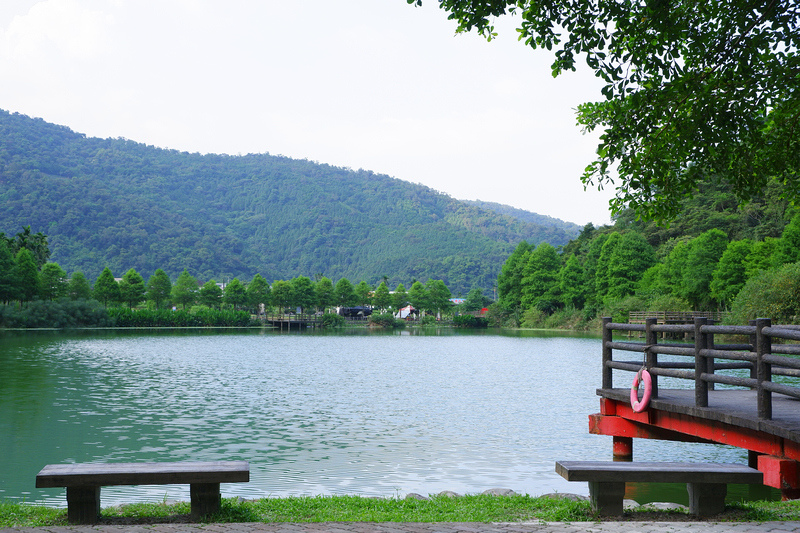 【宜蘭員山】望龍埤花田村：經典偶像劇場景！美食門票＆附近景點