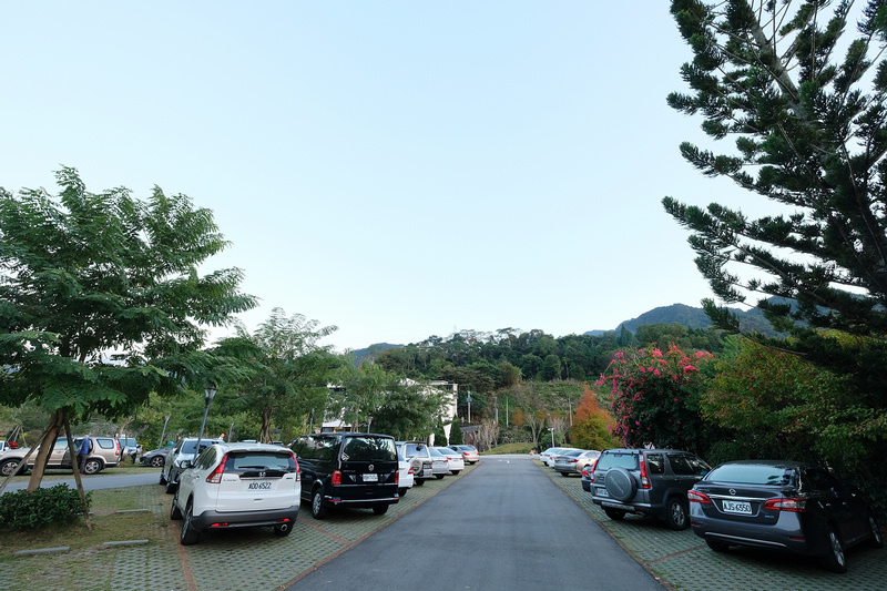 【苗栗南庄】雲水度假森林園區 (雲水溫泉度假村)：落羽松＆露