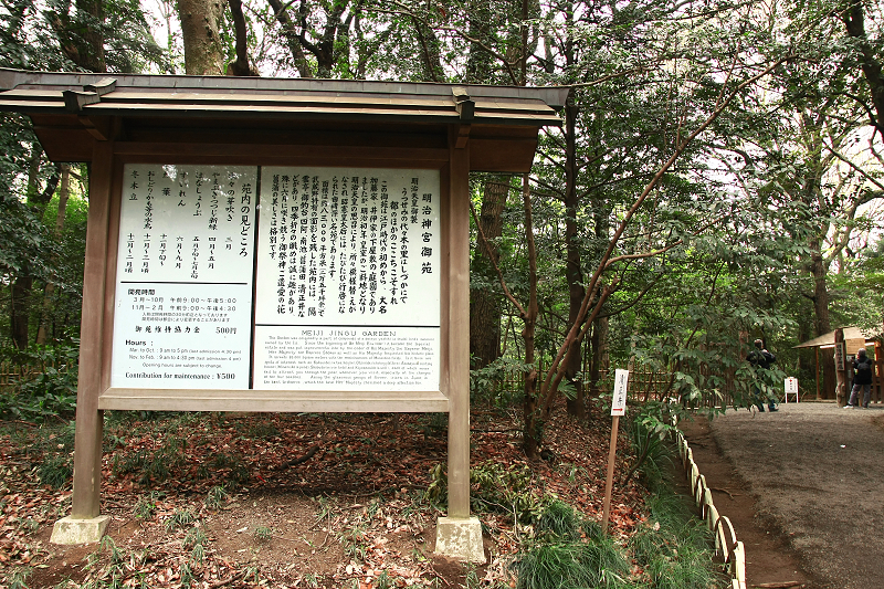 【東京】明治神宮：鳥居御守景點地圖、交通美食＆附近景點一日遊