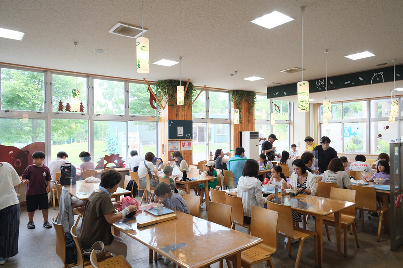 【北海道】旭山動物園：超夯企鵝散步＆北極熊游泳必看，含門票交